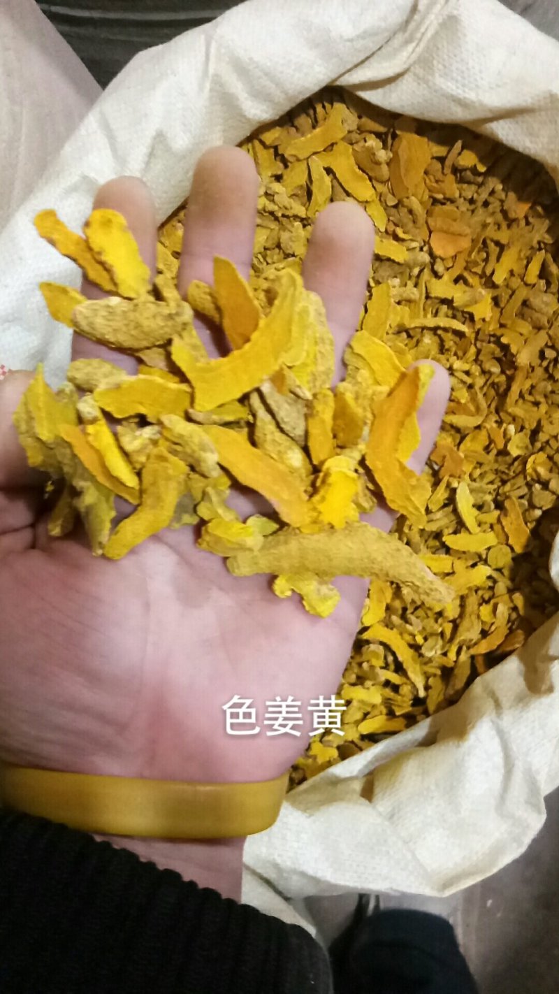 姜黄色姜黄姜黄片无硫熏各种中药材