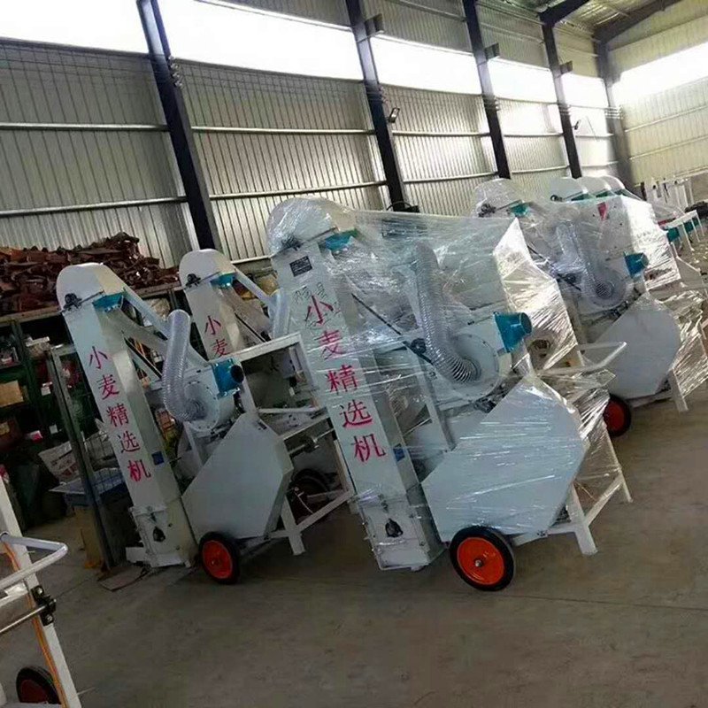 小麦精选机种子精选机粮食筛选去杂机