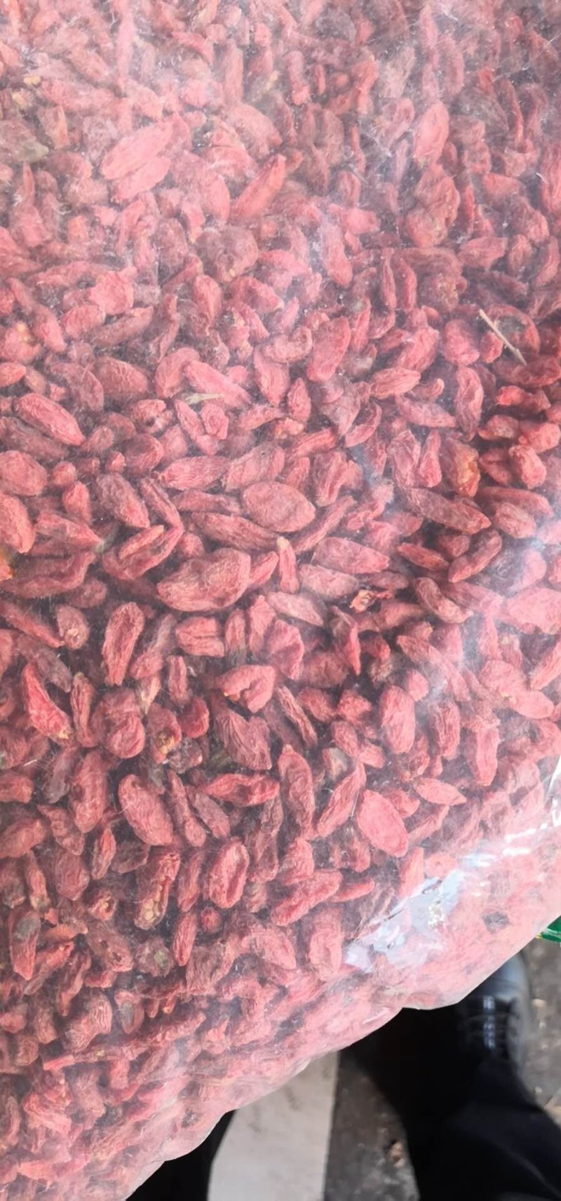 【推荐】优质红枸杞，没有硫磺熏蒸没有杂质颜色一致欢迎