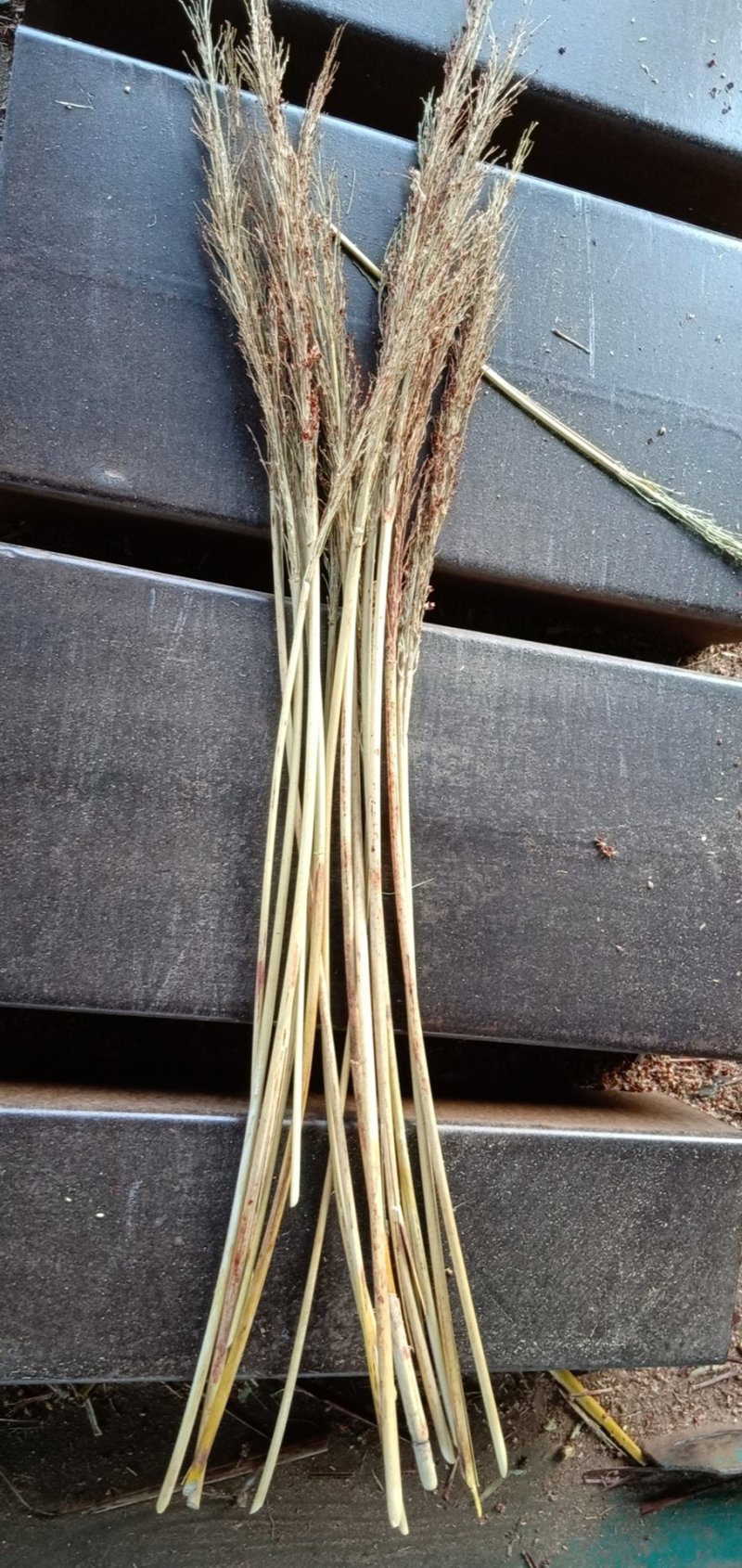 贵州高粱扫帚原料加工销售