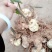 四川姜型甜黄精全芽头
