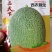 西州蜜25号甜瓜种子西农脆宝，品质好，糖度高，基地推荐！