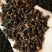 丁香公丁香各种香料量大从优调味料