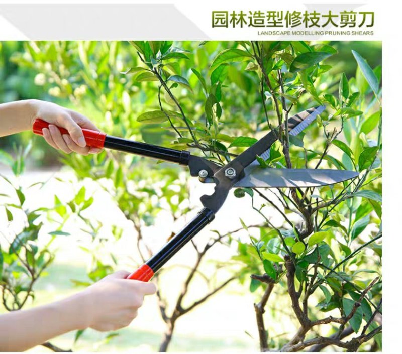 园艺园林工具大剪刀草坪剪修枝绿篱剪粗枝果树修剪绿化花剪篱