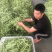 福建漳州产地四季豆支持代发产地直销