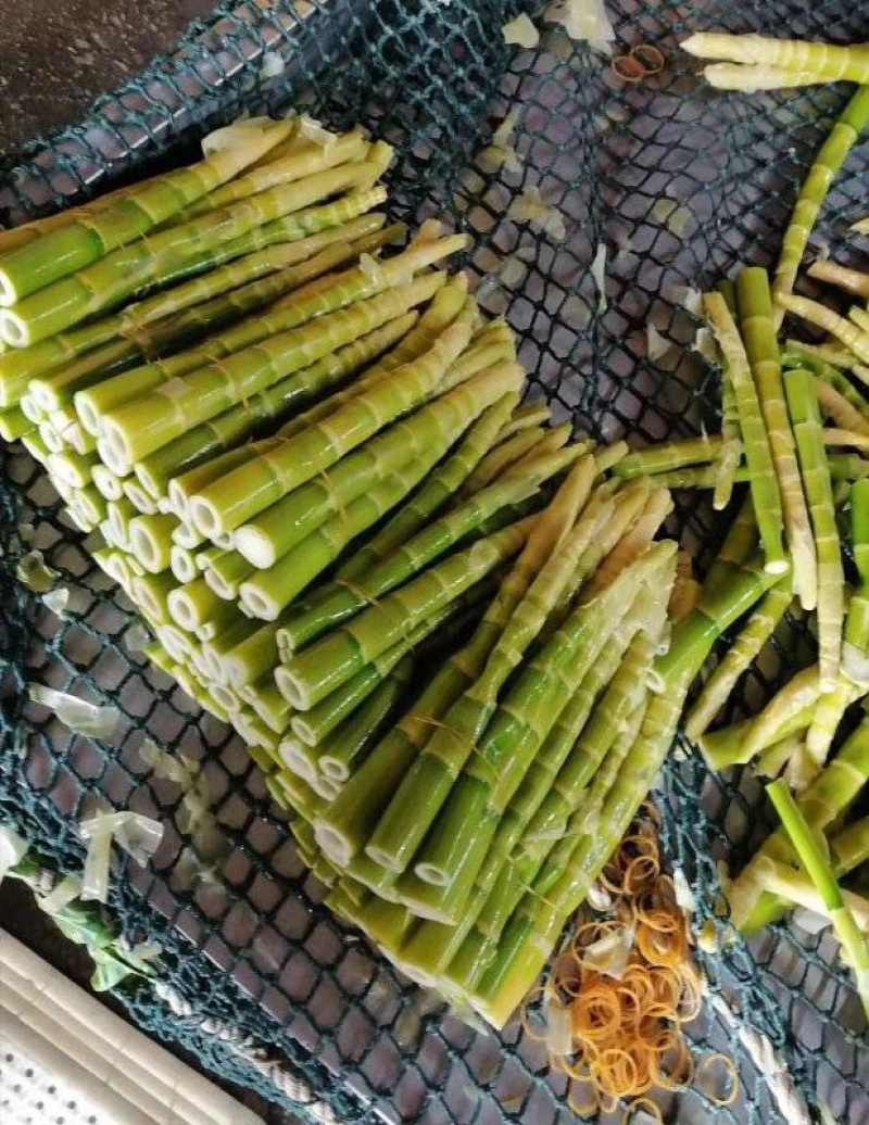 福建雷笋花笋深山里的味道