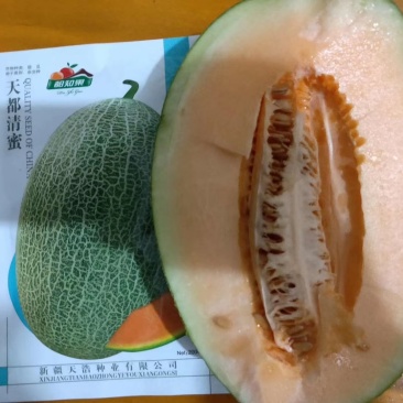 西州蜜25号哈密瓜
