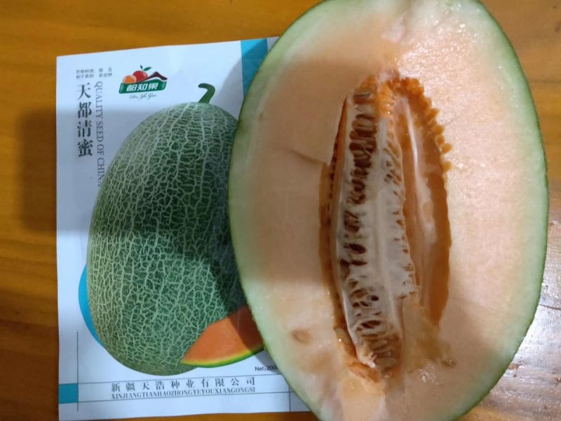 西州蜜25号哈密瓜