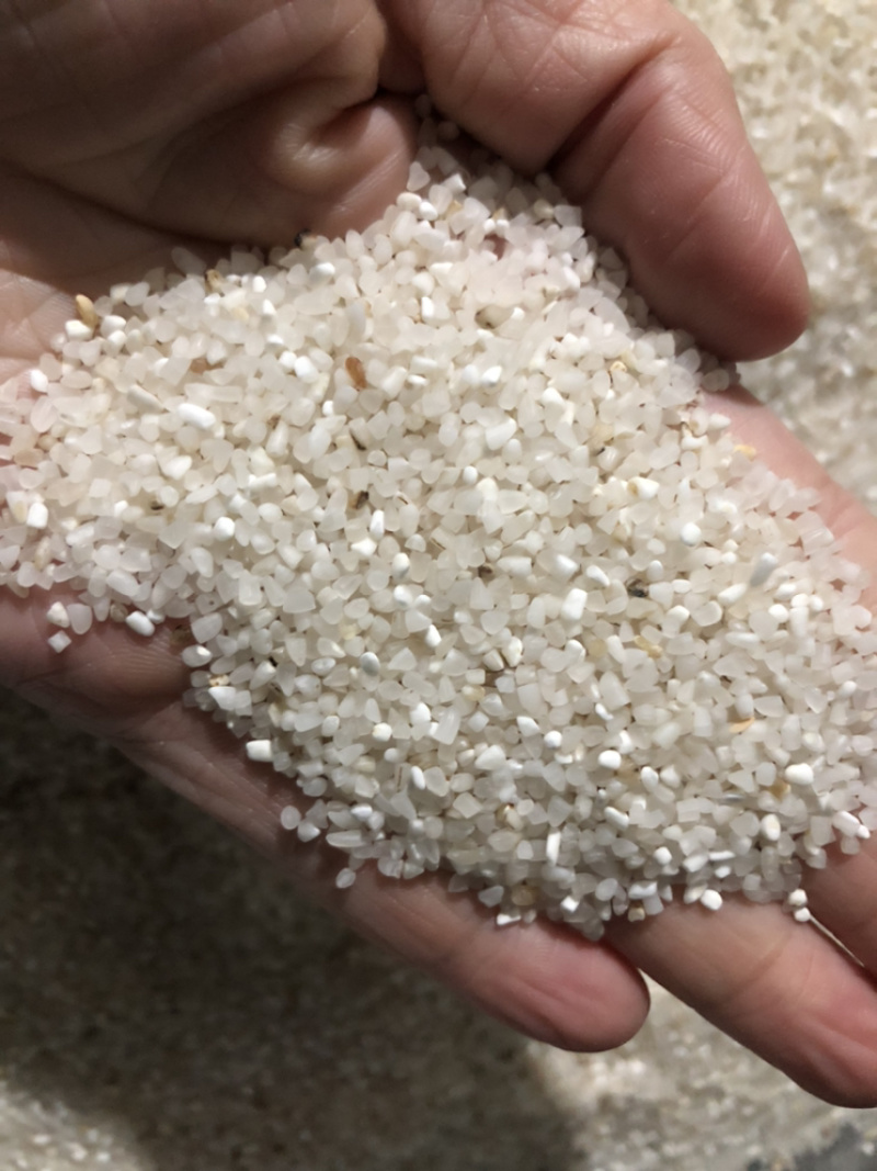 特价毛节米碎米饲料原料食品加工原料批发