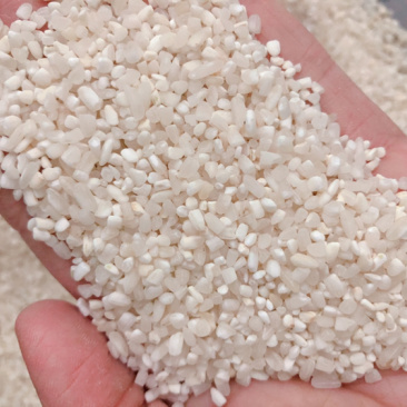 早稻碎米早稻节米米粉专用碎米粮油作物