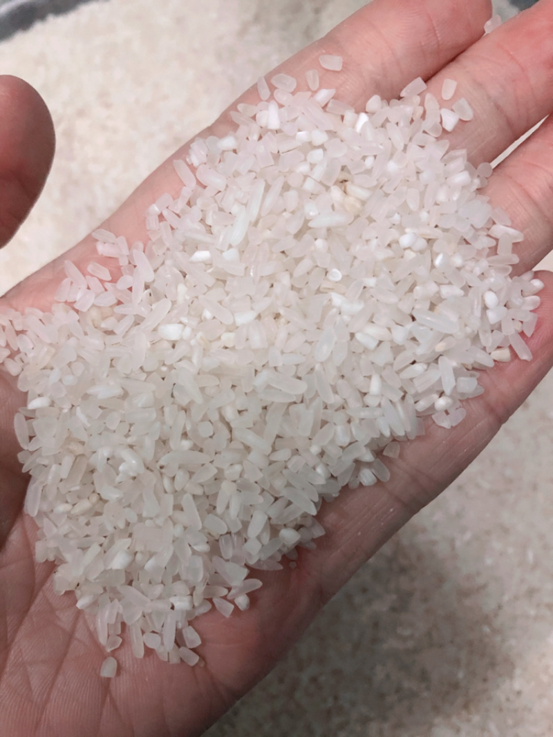 优质稻碎米大碎节米