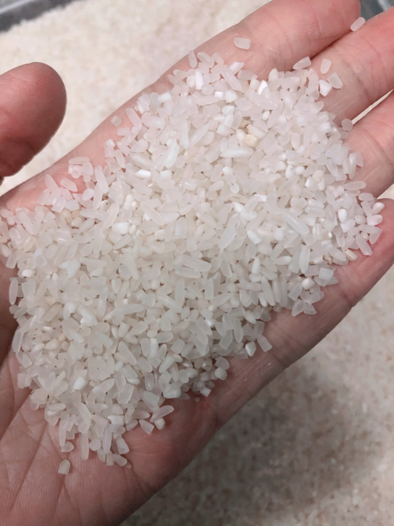 优质稻碎米大碎节米