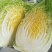 黄心白菜，产地直销，保证质量，净菜4一6斤。