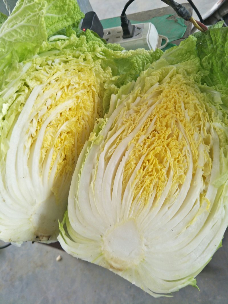 黄心白菜，产地直销，保证质量，净菜4一6斤。