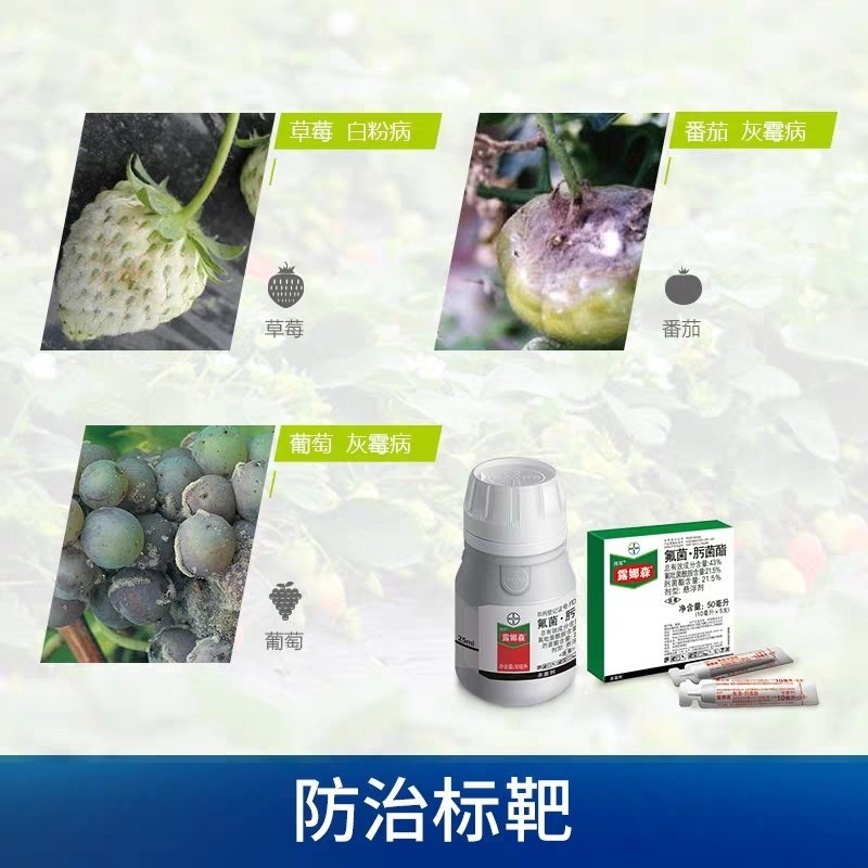 德国拜耳露娜森黄瓜靶斑病草莓香蕉斑点病白粉病杀菌剂