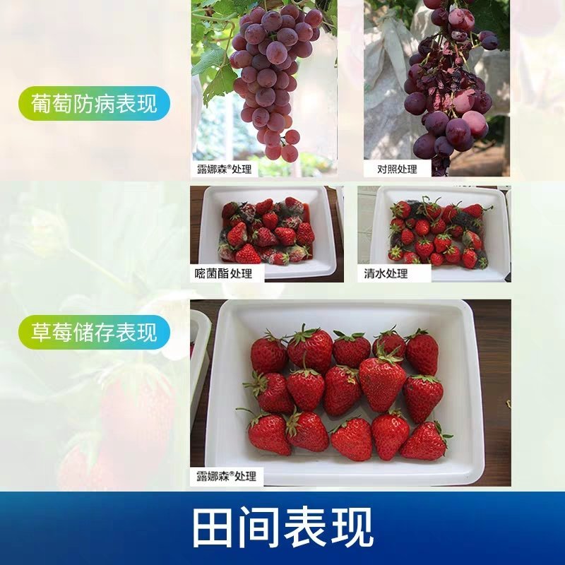 德国拜耳露娜森黄瓜靶斑病草莓香蕉斑点病白粉病杀菌剂