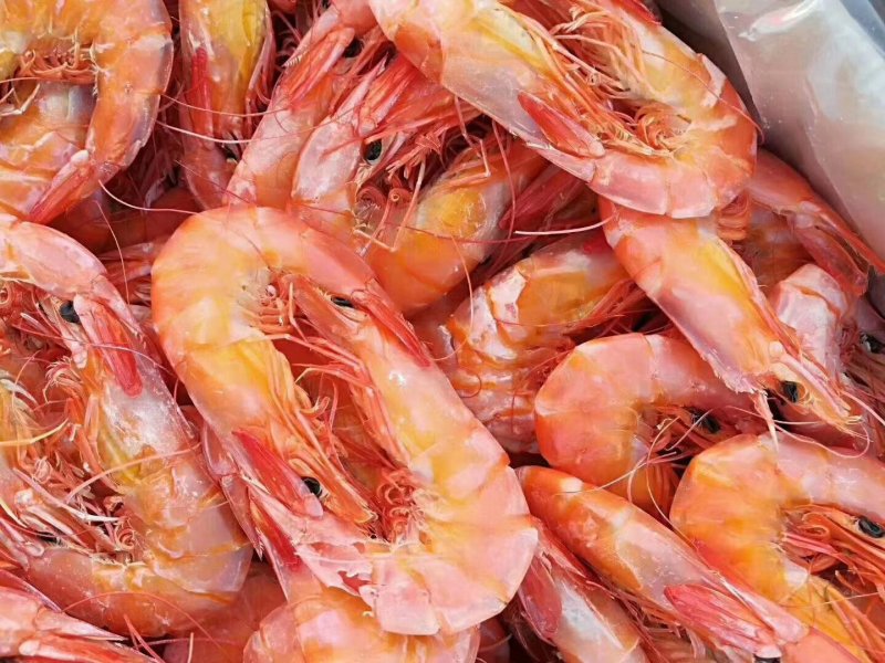 淡干无盐烤虾(渤海湾的大海虾经过烘干而成)。