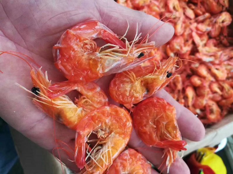 淡干无盐烤虾(渤海湾的大海虾经过烘干而成)。