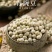 生新豌豆农家自种青豌豆生豌豆干豌豆杂粮寒豆麦豆