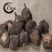 玛咖秘鲁黑玛咖,产地直供，质优价实，品质保证，药典标准