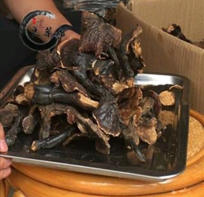 灵芝金边野灵芝，产地直供道地药材新货药味重