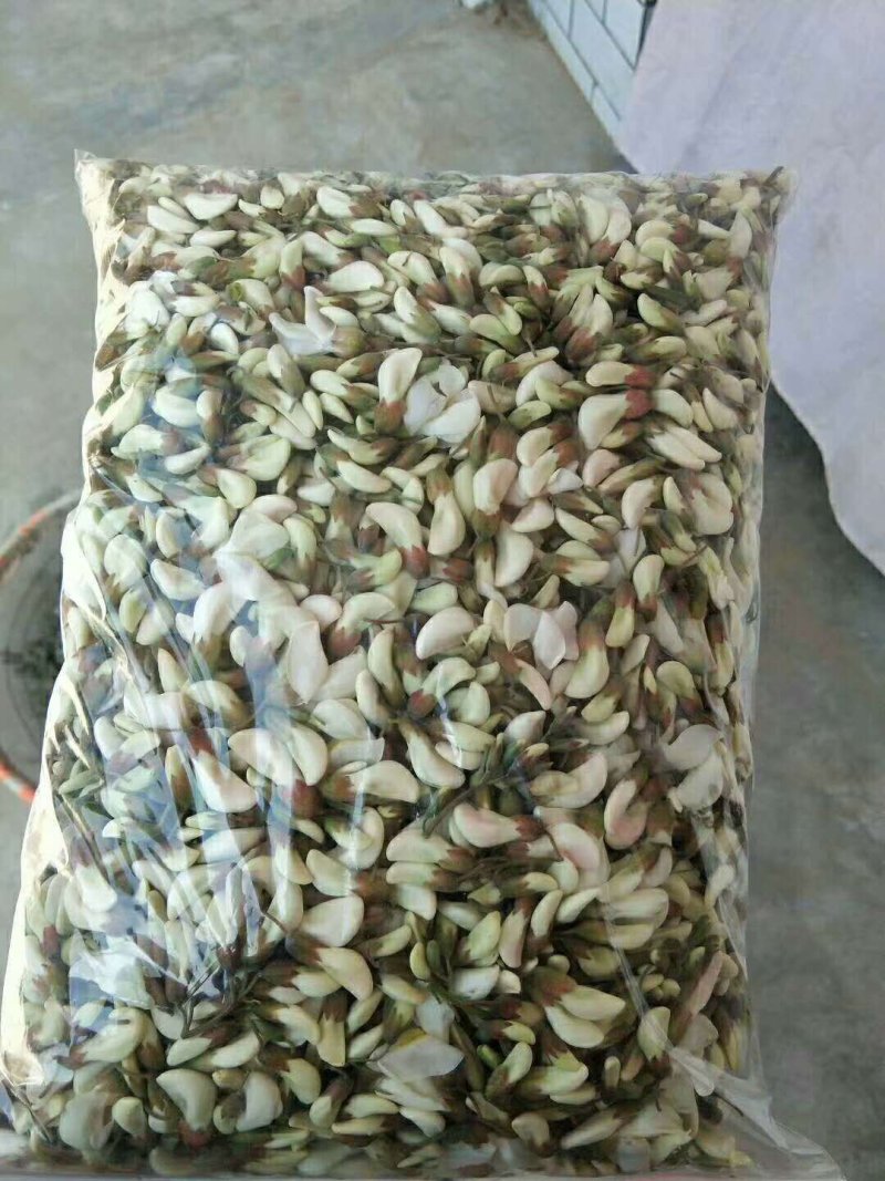 槐花
