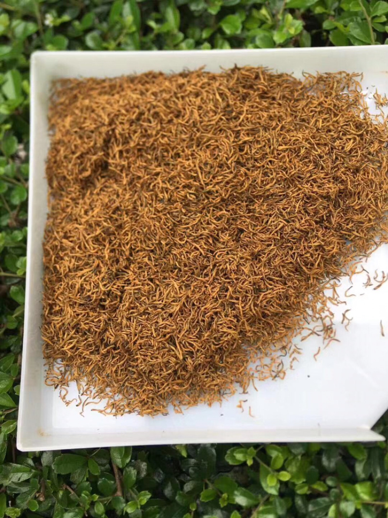 今年头春全黄芽金骏眉250g包邮