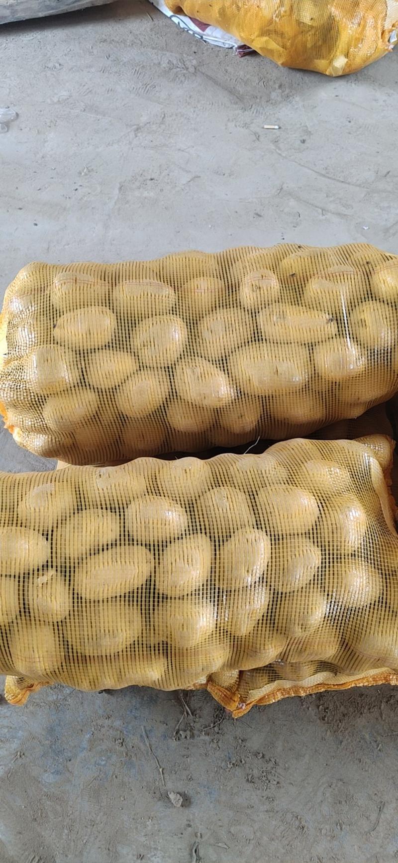 土豆荷兰15。精品土豆三两以上。半斤上精品土豆。