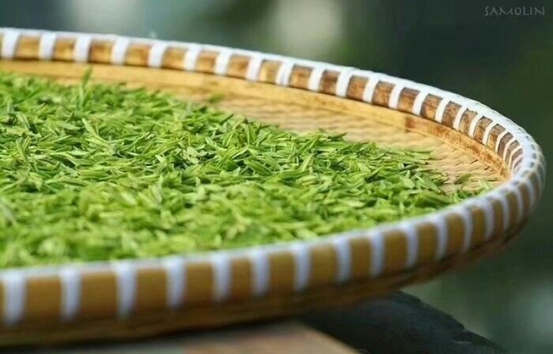 碧螺春茶农自产自销