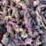 款冬花冬瓜炙冬花批发各种中药材量大从优