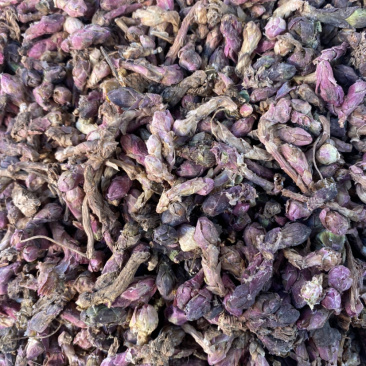 款冬花冬瓜炙冬花批发各种中药材量大从优