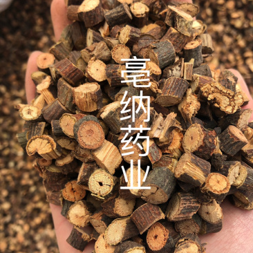 首乌藤中药材包含量1⃣️公斤起批