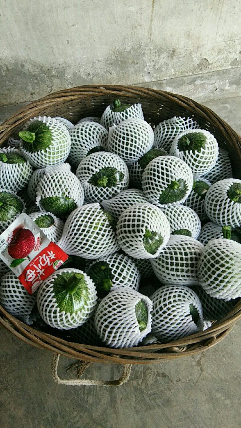 瓜果