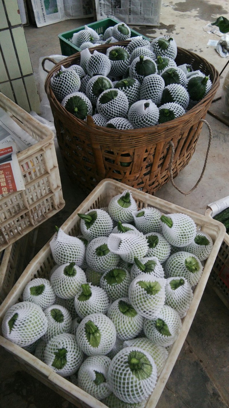 瓜果