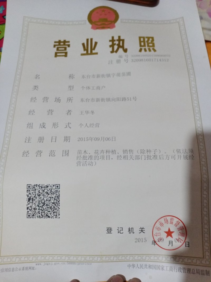 自家苗圃，规格齐全，量大优惠保质保量欢迎选购
