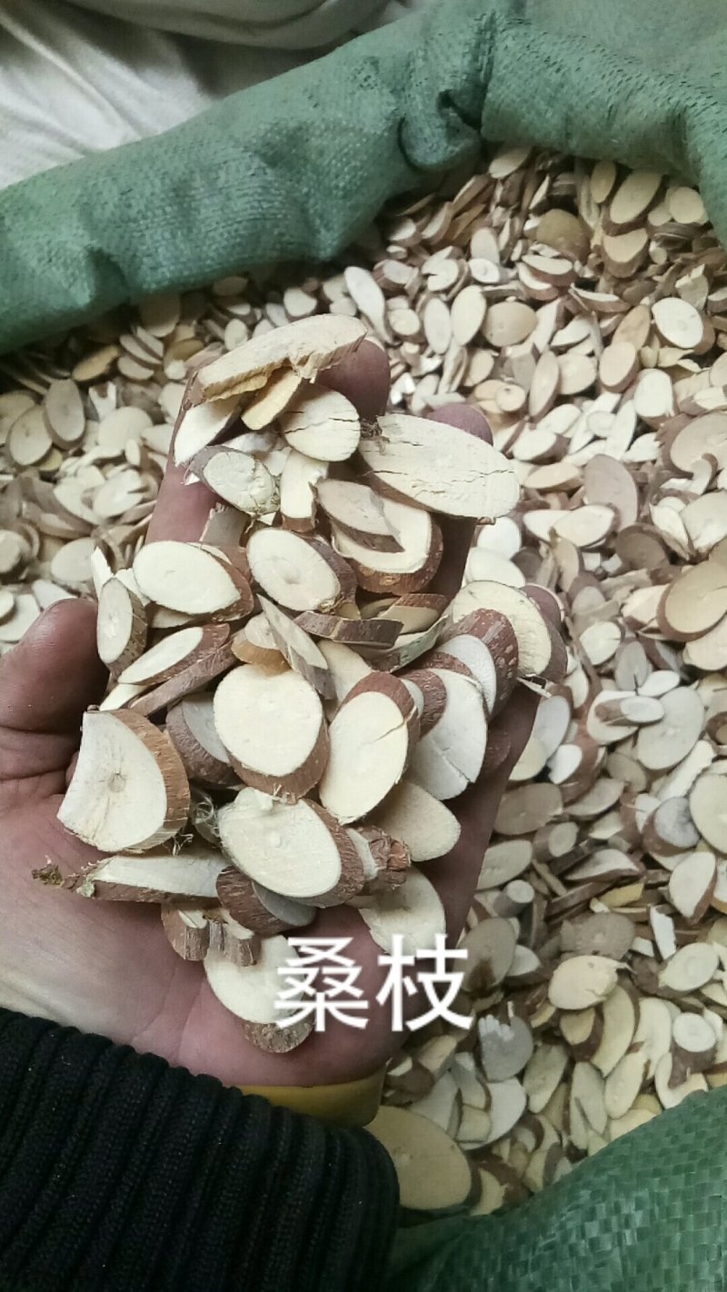 桑枝桑枝桑树枝一公斤起批