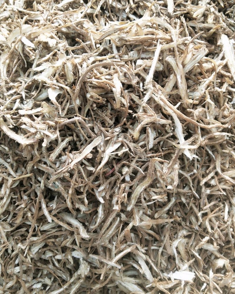甘肃渭源县精品当归尾子片货量充足价格优惠