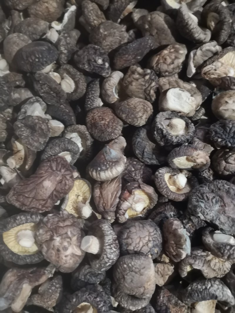 【精选】河南洛阳冬菇干香菇香菇产地直发品质保证