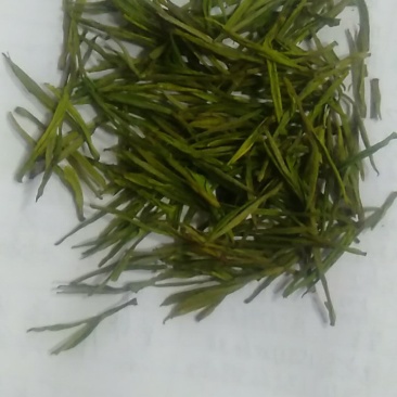 白茶