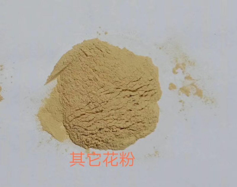 猕猴桃花粉，精粉，坐果率高品牌多适用于各个猕猴桃品种