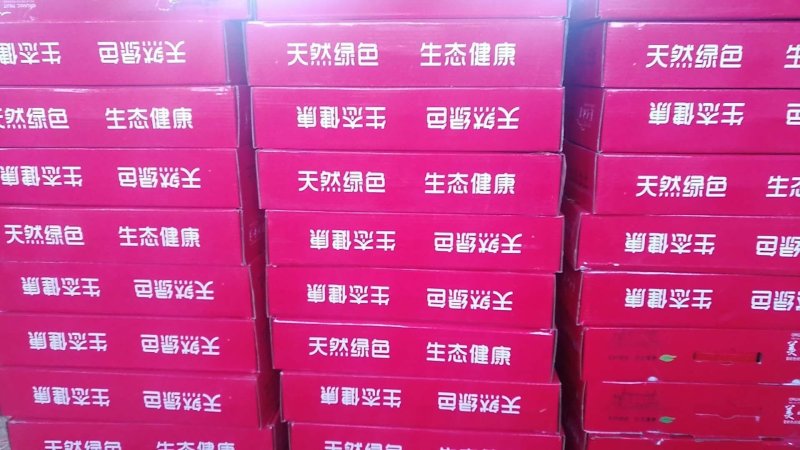 山西运城临猗坡上，瑞雪奶油苹果，现摘现发