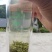 毛尖茶，高山云雾茶，有机绿茶