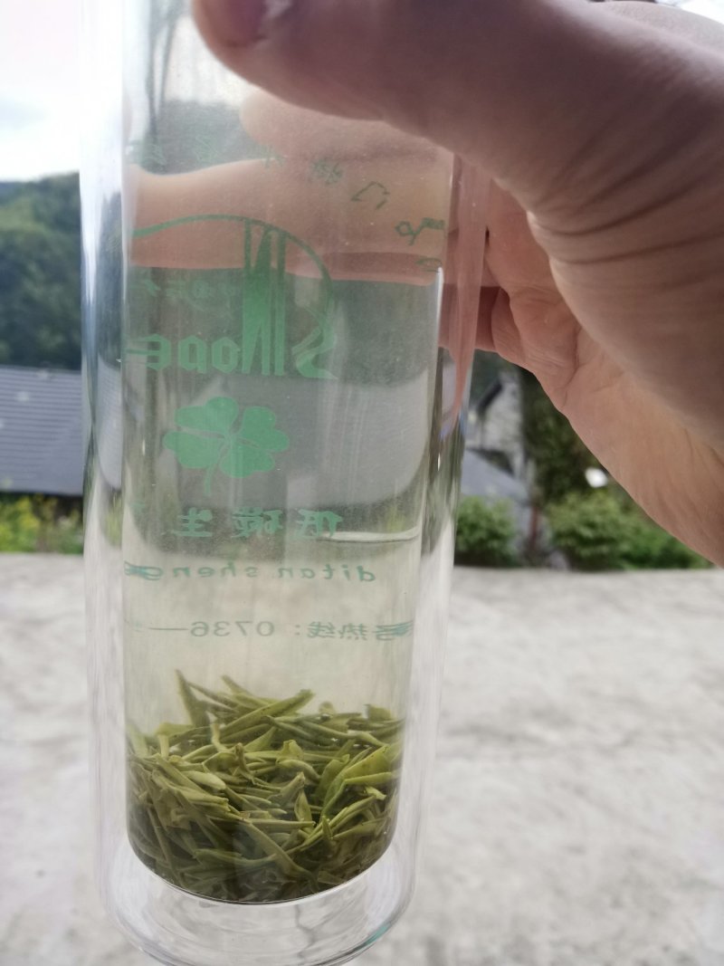 毛尖茶，高山云雾茶，有机绿茶