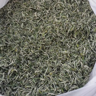 毛尖茶，高山云雾茶，有机绿茶