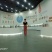 振兴药材批发供应山西防风规格齐全产地直供一手货源全国发货