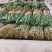 河南韭菜，万亩基地直销，质量保证，一手货源，代发全国各