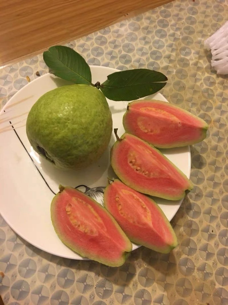 红心番石榴