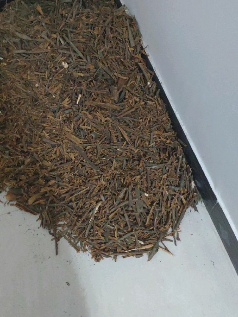 干桂筒，桂碎