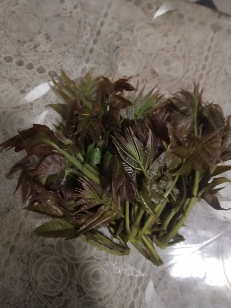 山西红油香椿芽