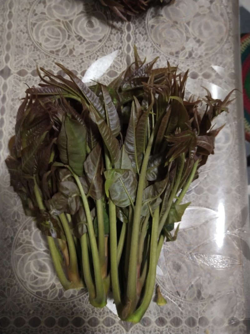 山西红油香椿芽